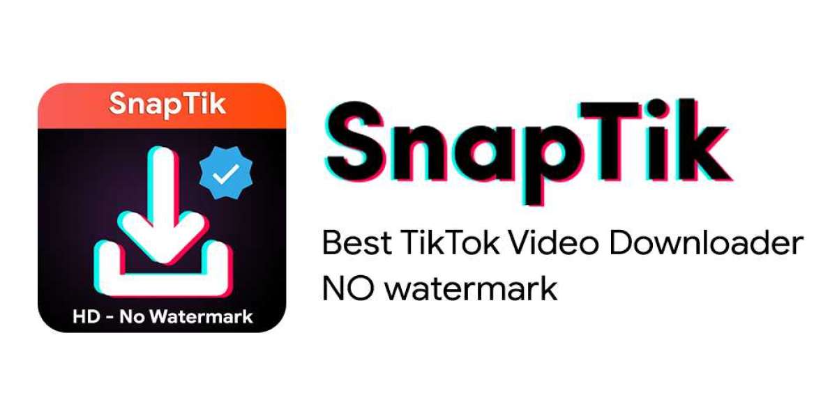 The TikTok Downloader Phenomenon: A Deep Dive into the Controversial Tool