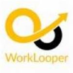 Worklooper Consultants Profile Picture