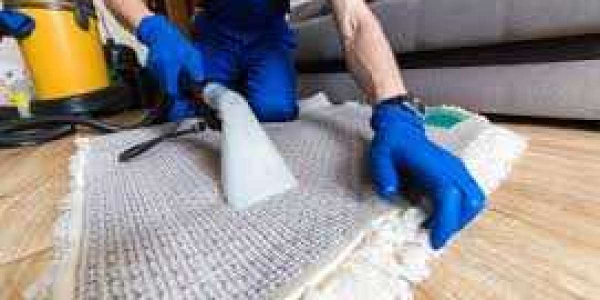 Enhancing Home Style with Expert Professional Carpet Cleaning Services