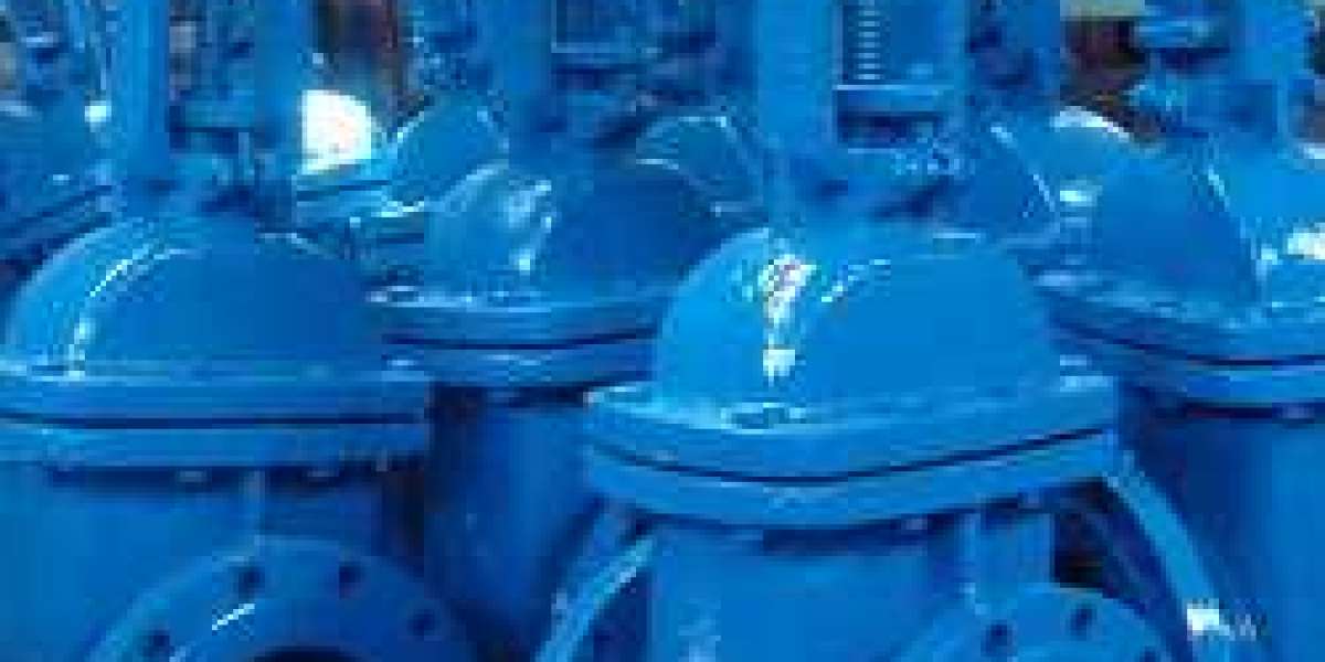 Gate Valve Supplier in Dubai